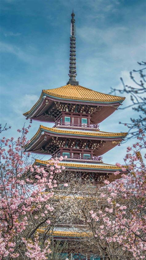 武汉五重塔唯美樱花风景壁纸图片