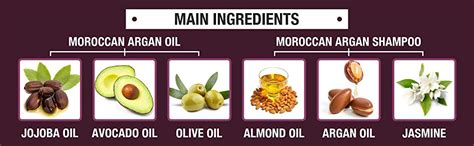 Buy St.Botanica Moroccan Argan Shampoo 300ml + Argan Hair Oil 200ml ...