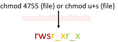 Linux Privilege Escalation using SUID Binaries