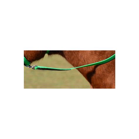 Shop Beta Biothane Leadlines with Camouflage - Two Horse Tack