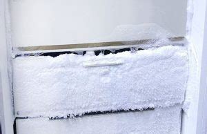 Image result for Freezer Defroster