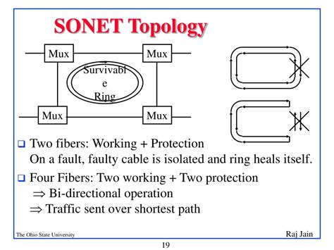 Sonet in Networking Explained 的图像结果