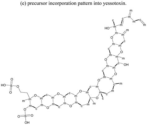 Biosynthesis and Molecular Genetics of Polyketides in Marine ...