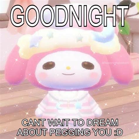 bunnywithpinkknife | Cute memes, Funny valentines cards, Good night funny