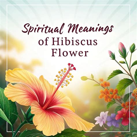 11 Spiritual Meanings of Hibiscus Flower: A Guide to Nature's Divine ...