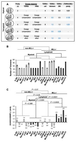 Non-coding RNAs in Cancer: Markers in Disease Progression and Therapy