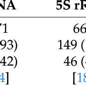 Image result for RNA Sequence Example