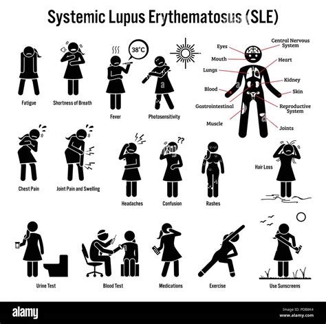 Systemic Lupus Erythematosus SLE Autoimmune Disease Icons. Pictogram depicts signs, symptoms ...