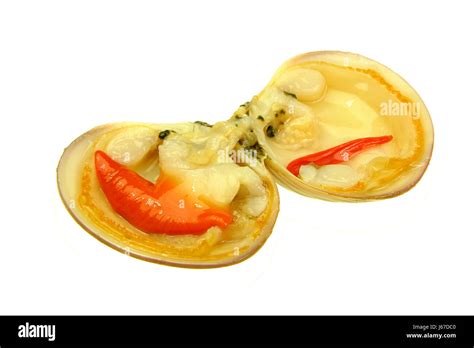 Image result for Shell Seafood