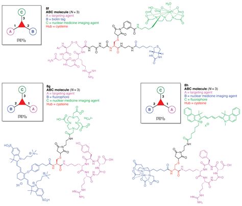 Design, Synthesis, and Utility of Defined Molecular Scaffolds