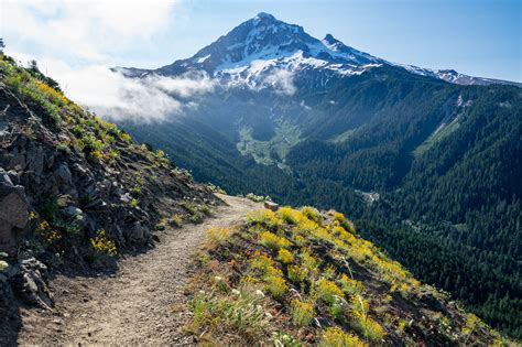 Mount Hood National Forest Hikes at Marsha Shain blog