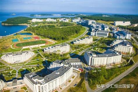 远东联邦大学医学专业将首次招收中国学生 - 2023年2月3日, 俄罗斯卫星通讯社