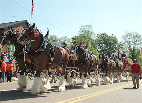 Image result for Retro Gaming Emulators