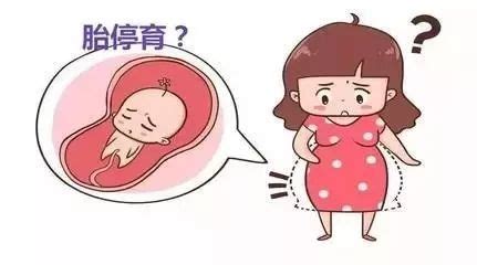 怀孕12周NT图片，不知道是否能看得出来男孩女孩前期怀孕6周胎囊是17*16*1 - 百度宝宝知道