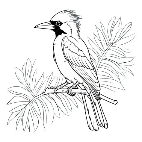 Premium Vector | Black and white drawing of a king bird of paradis best ...