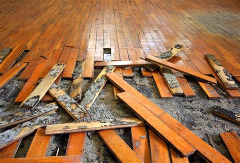 How to Repair a Water Damaged Wood Floor - WoodFloorDoctor.com