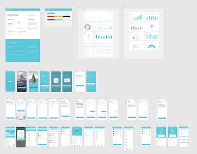App Overview 的图像结果