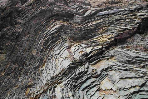 35 Facts About Blackshore (TV Series) - Facts.net