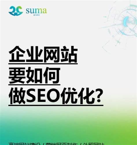 seo网站优化案例分析（seo网站优化总结）-8848SEO