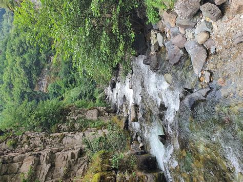 ZENOFON TOURS (2025) All You Need to Know BEFORE You Go (with Photos ...