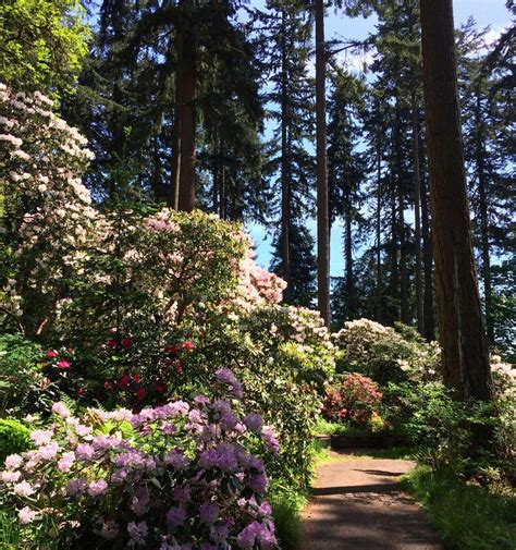 HENDRICKS PARK (Eugene): Ce qu'il faut savoir pour votre visite (avec ...