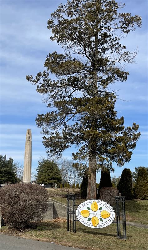 Connecticut Association of Photographers: CAP Field Trip to Walnut Hill ...