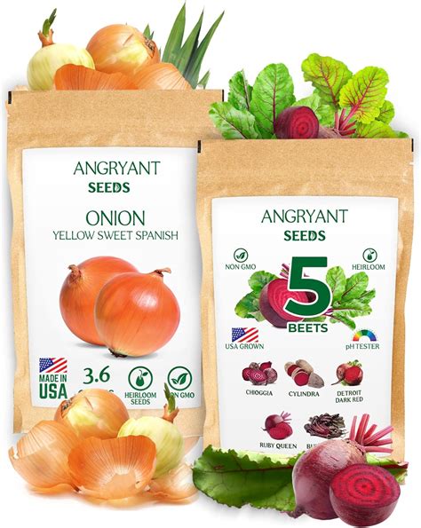 Amazon.com : Assorted Collection of Beet and Yellow Sweet Spanish Onion ...