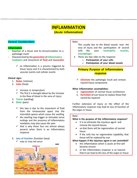 Image result for Inflammation Reaction