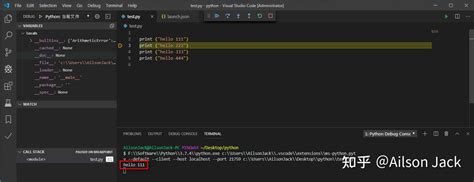 Vscode Python Debug Configuration 的图像结果