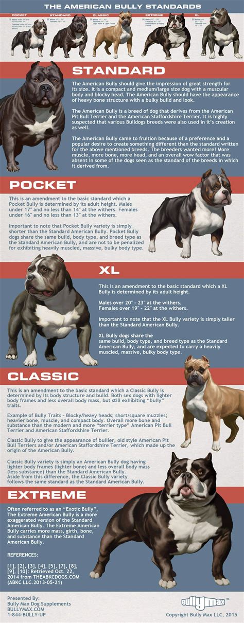 Average Pitbull Weight Chart - Educational Chart Resources
