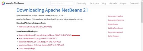Image result for How to Install Java NetBeans for Windows 10