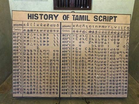 Image result for Tamil Script Writing
