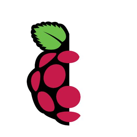 Image result for Raspberry Pi Logo Transparent