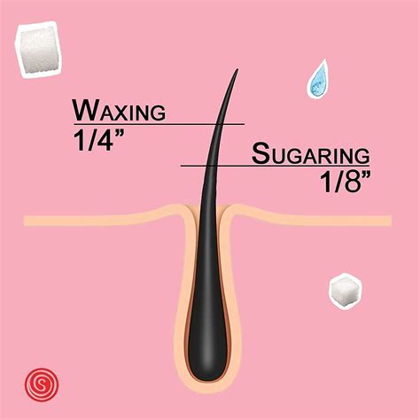 Buy Sugar Wax for Bikini, Brazilian, Legs, Arms kit with Anti Ingrown ...