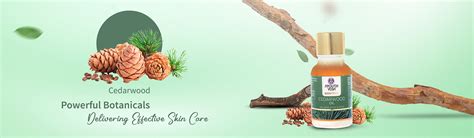 Ayouthveda 100% Pure Cedarwood Essential Oil | Therapeutic-Grade Warm