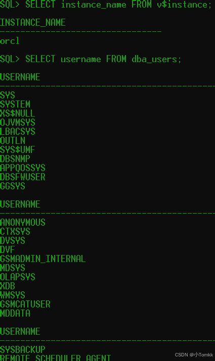 Oracle Database 19C Tutorial 的图像结果