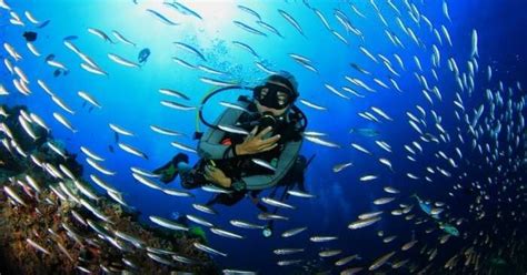Indulge In Scuba Diving In Bangkok Because Adventure Is Where It Is At
