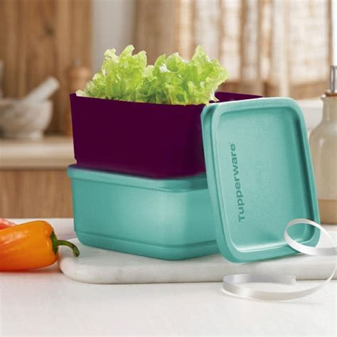 Fridge Storage Solutions – Page 2 – Tupperware Vadodara
