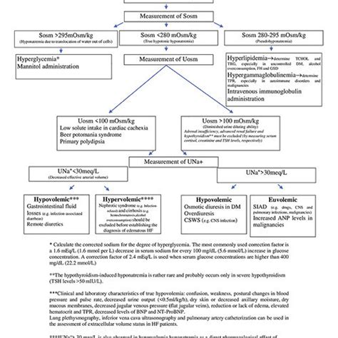 Hyponatremia Algorithm 的图像结果