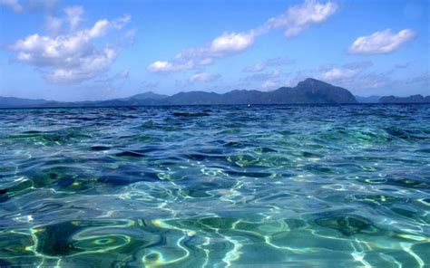 Sea Background 的图像结果