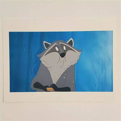 Raccoon From Pocahontas Costume