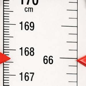 PRESTIGE Height Measuring Scale Ruler Flap for Stadiometer (Only Flap ...