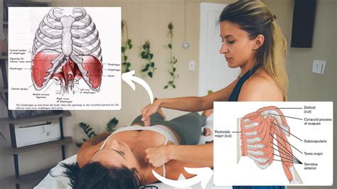 Deep Healing Through Breath and Bodywork: The Diaphragmatic Release ...