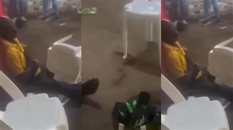 Image result for Baby Python Handling