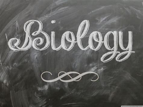Biology Background HD 的图像结果