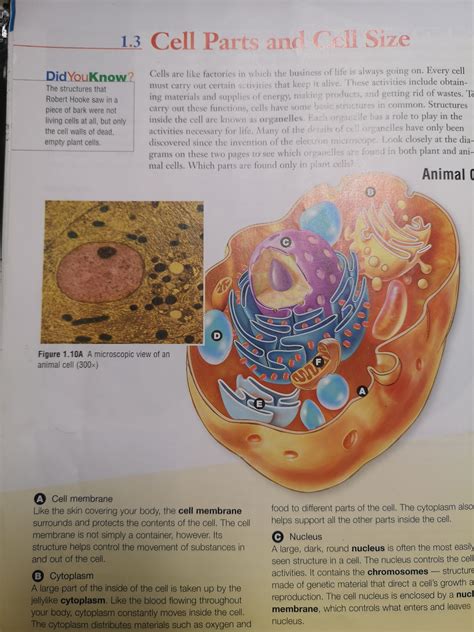 Science Text 的图像结果