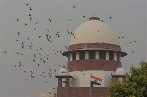 Gift under Mohammedan Law does not require written document to be valid: SC