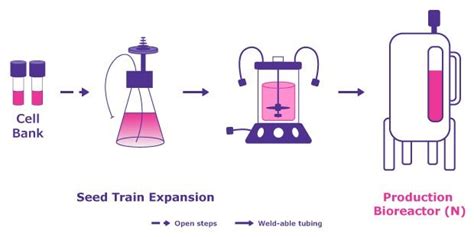 Development and Optimization of a Lentivirus Manufacturing Platform