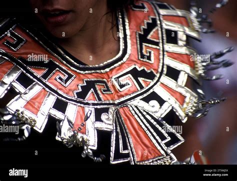 Native Dancer 的图像结果