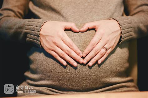 怀孕1-40周完整详细的胎儿发育过程图（彩色3D图）_体重